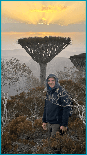 FIRMIHIN, bosque de árboles de sangre de dragón en Socotra